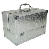 Maletas em Aluminio com Maquiagens